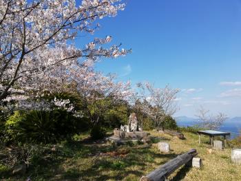 宮野河内の桜