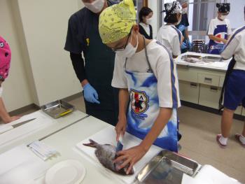 H27お魚さばき体験