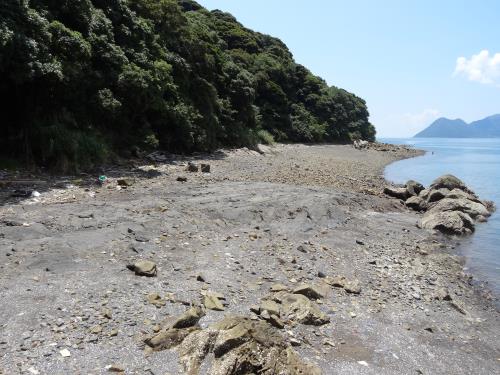 くぐしまのアンモナイト産地