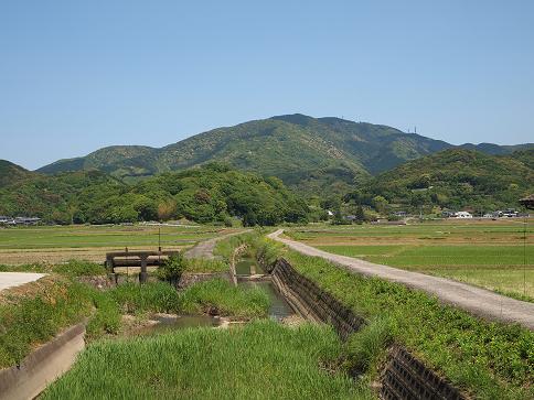 老岳