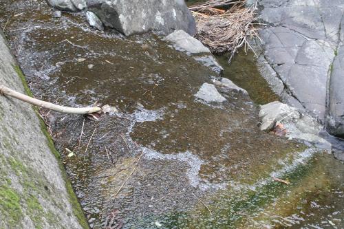 流れが緩やかなところも凍っている