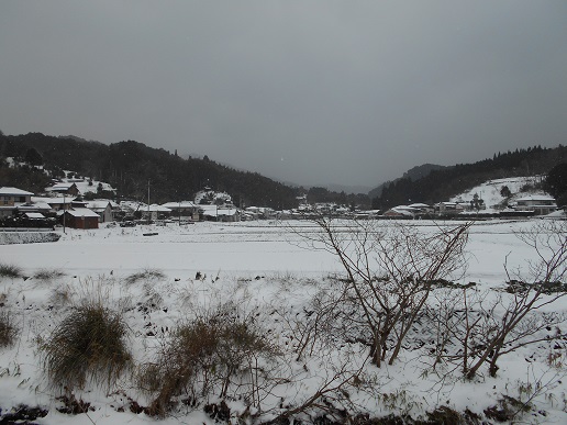 雪景色　２０１６　２