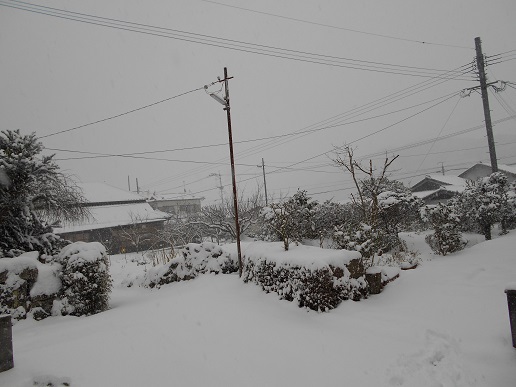 雪景色2016　１
