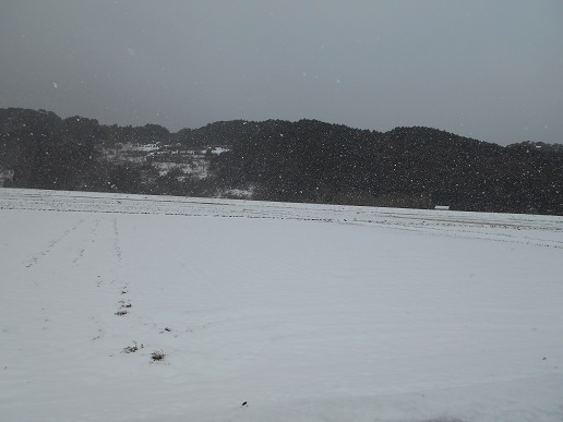 雪景色　2016　３