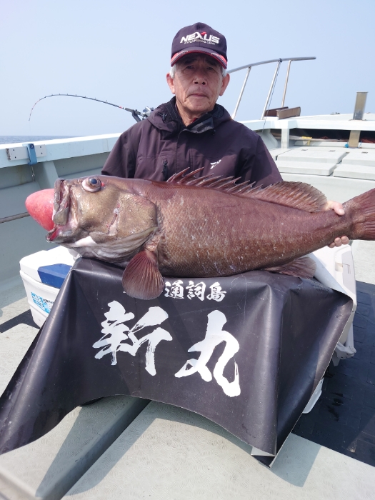 イカ泳がせ釣り