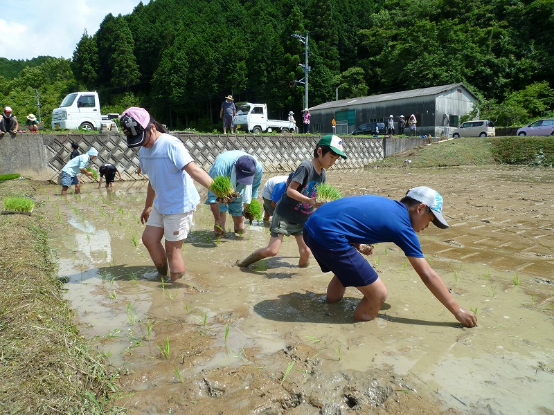 子ども会田植え