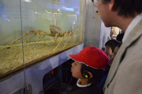 送別遠足