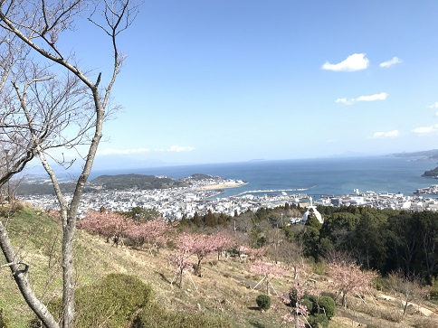 十万山からの景色