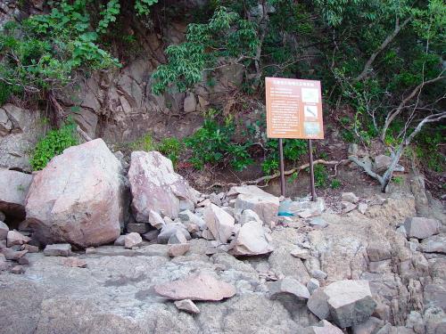 きょうどまりの恐竜化石発見地