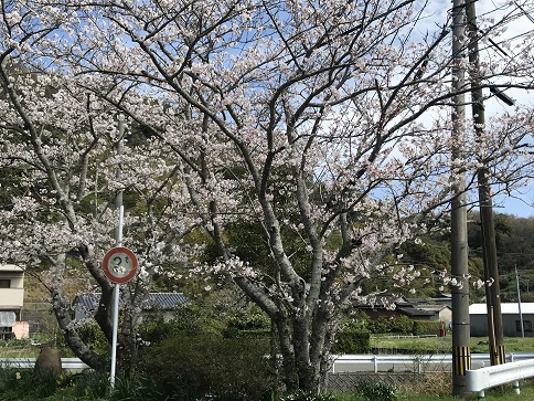 橋のところ