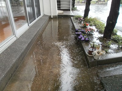 大雨②