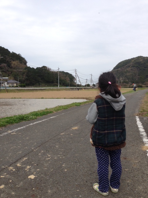 田１