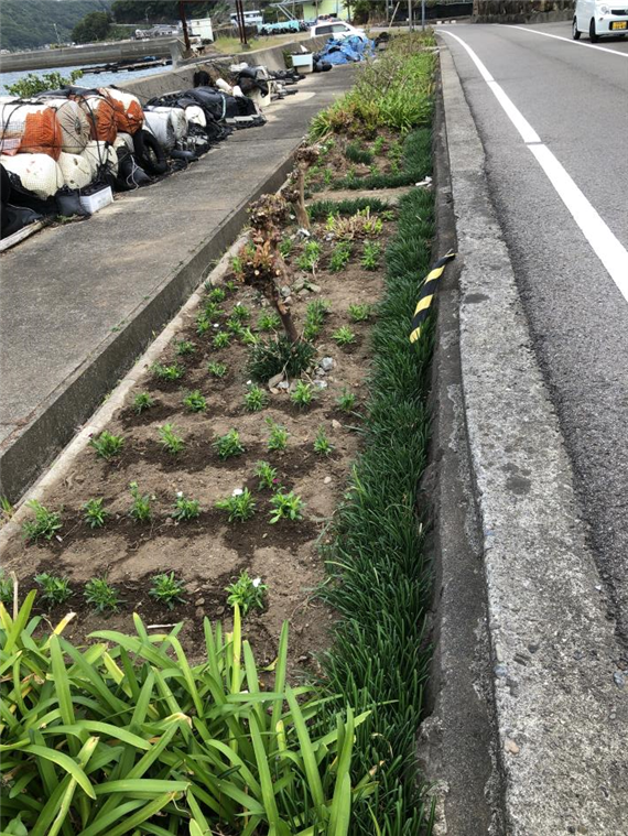 R5花いっぱい④