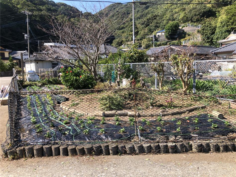 R5花いっぱい②