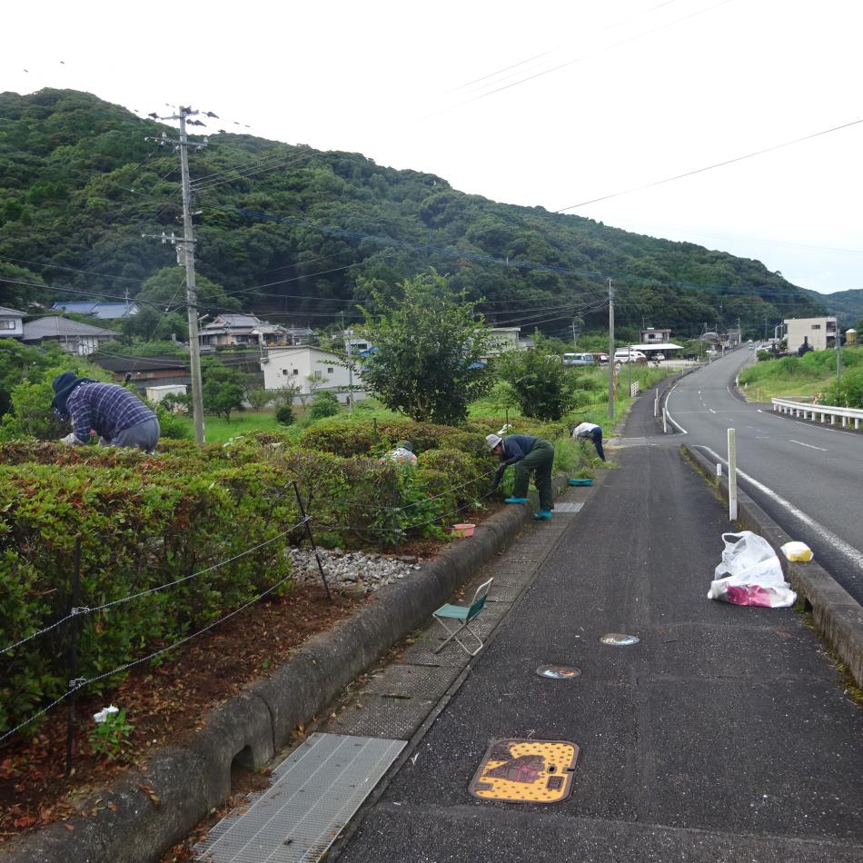 一斉清掃活動