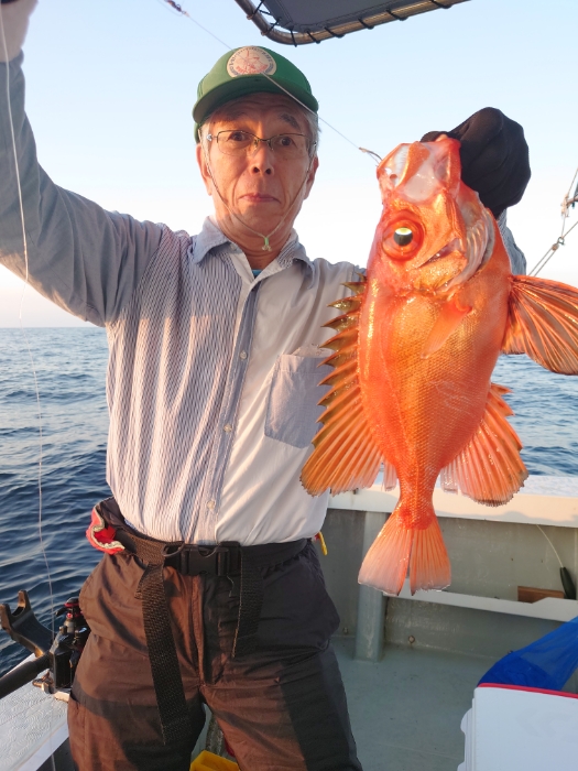 アジ泳がせと切り身釣り