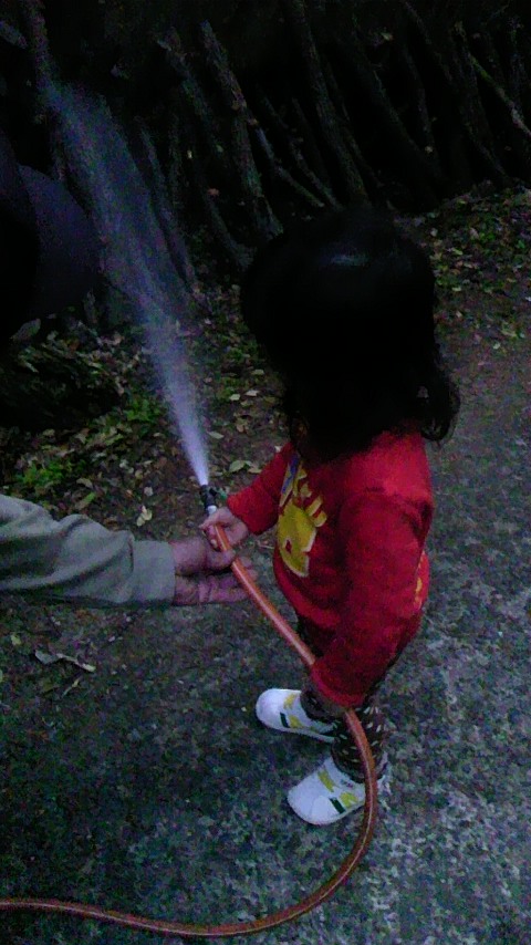 110226_1811~01.jpg
