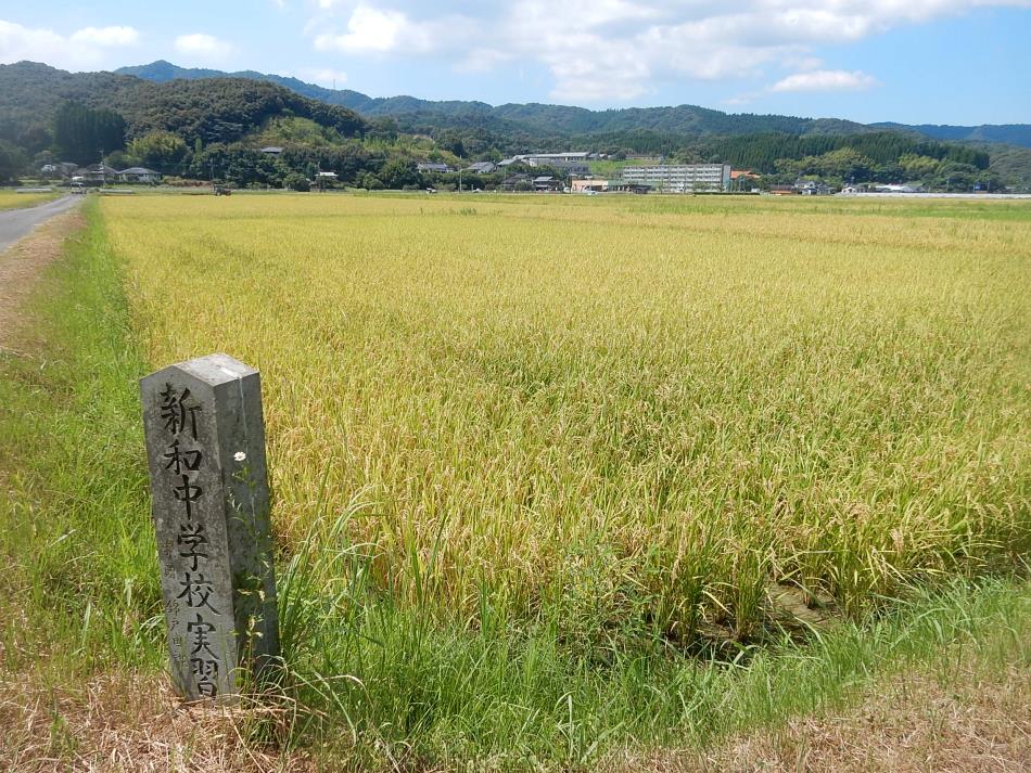学校田 (1)