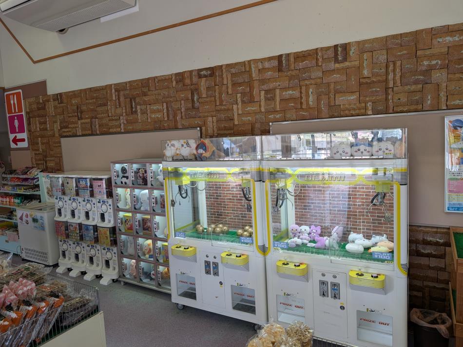 PXL_20250417_052311290 (1)