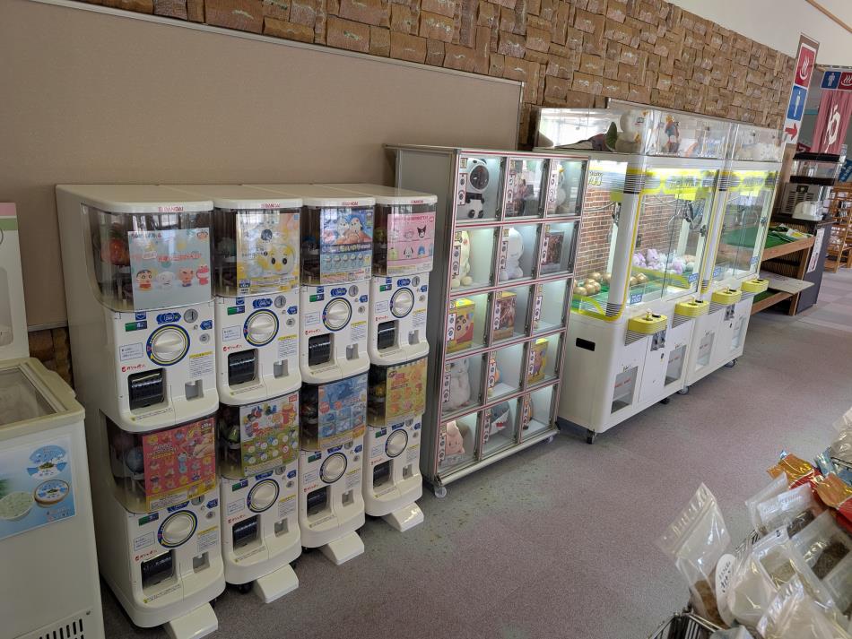 PXL_20250417_052319106 (1)