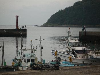 港