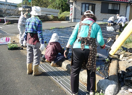 秋の花いっぱい運動