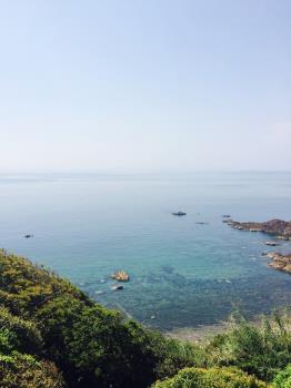 天草の海、川、森