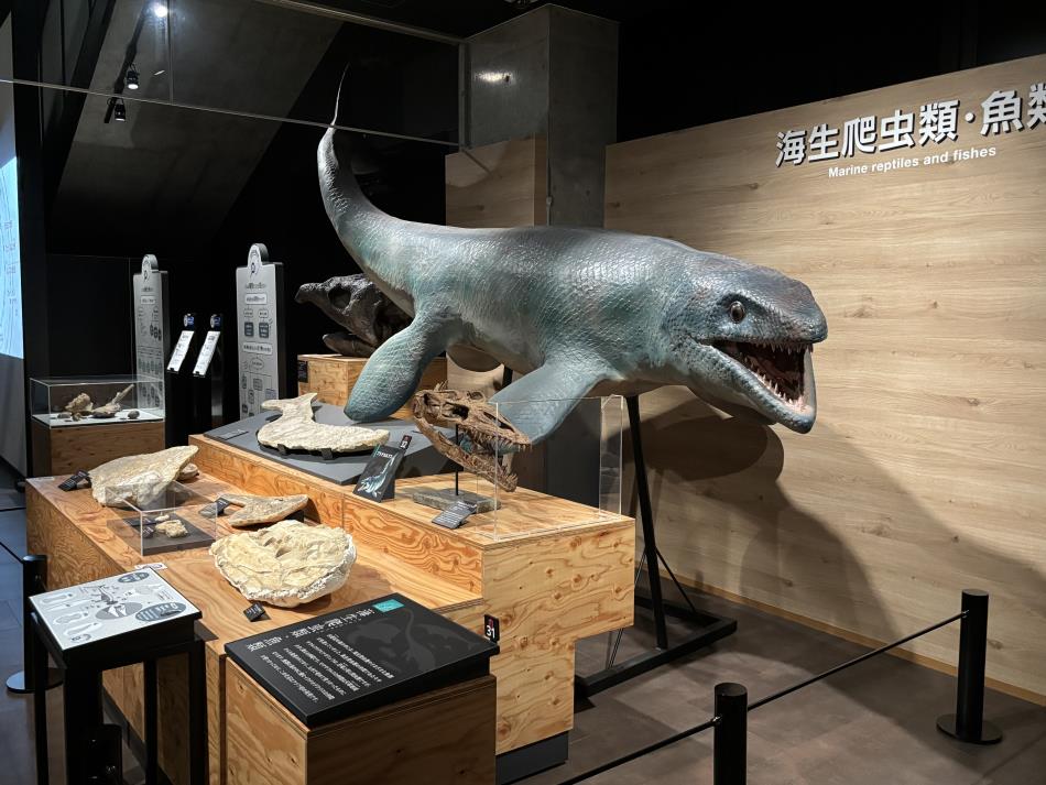 恐竜博物館