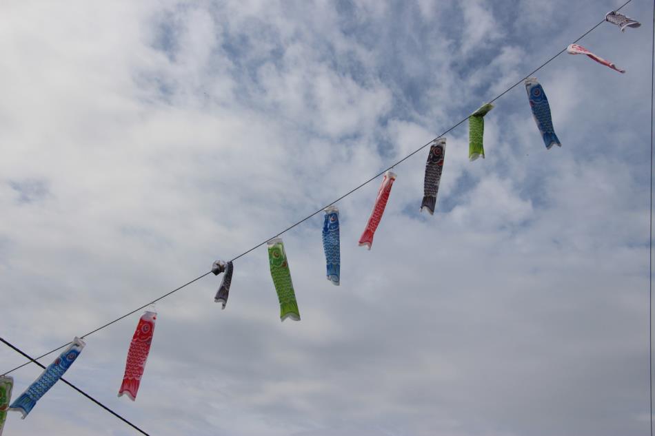 青空に泳ぐ鯉のぼり🎏