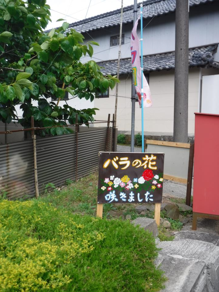 DSCF4837