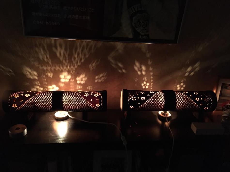 1903150_1451815268470743_1607338473_n