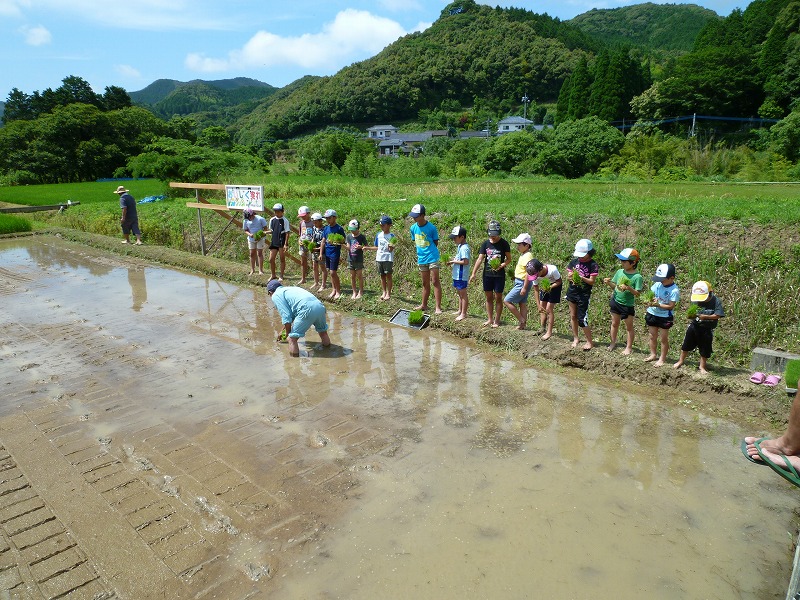 子ども会田植え