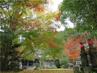 宮地岳３