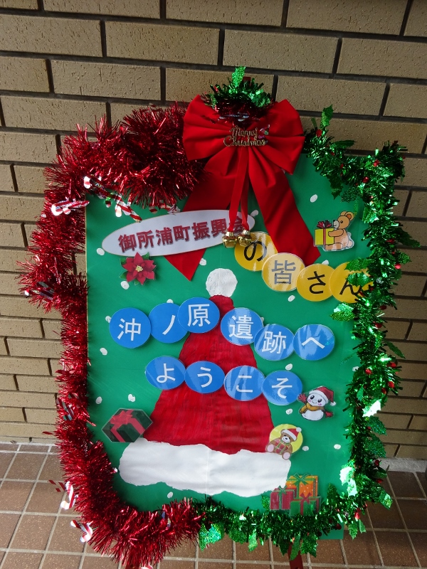 DSC01676 (600x800)