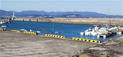 shimagoB