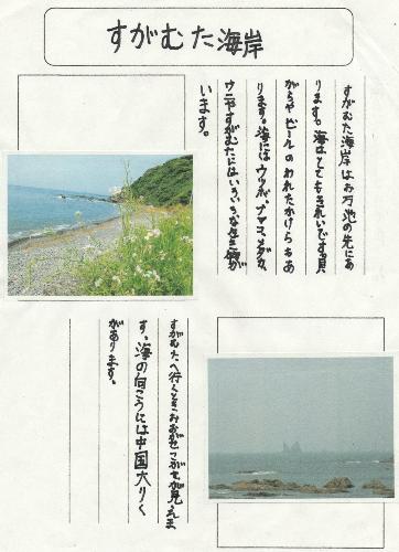 須賀無田海岸