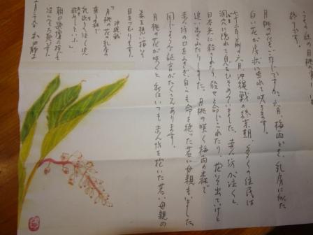 和田静子さんの手紙