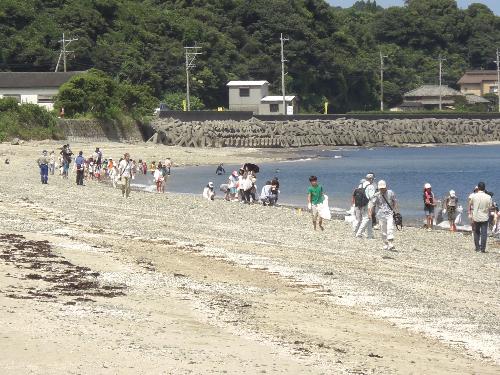 アカウミガメの産卵地保全と環境学習２