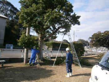元下須公園の樹木剪定作業