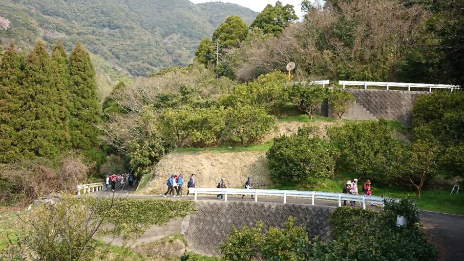 ウォーキング大会