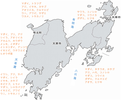 天草沿岸で漁獲される水産物