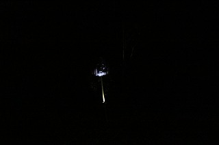 過去のきもだめし大会