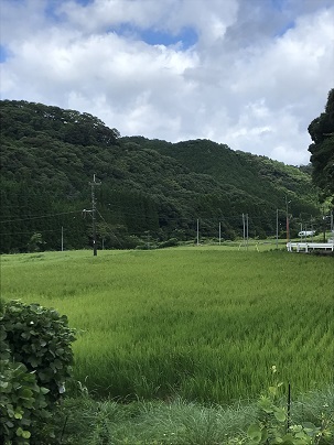 夏の山浦