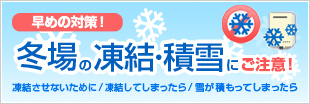 凍結