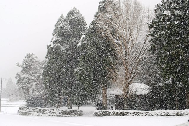 27大雪神社０