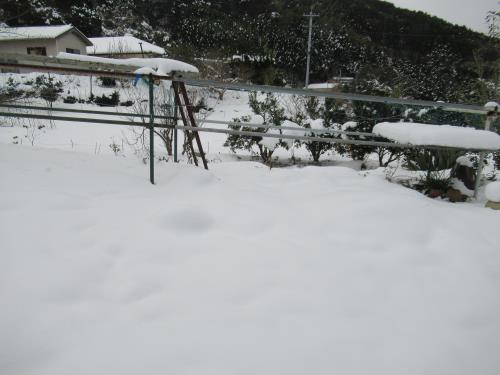 大雪６