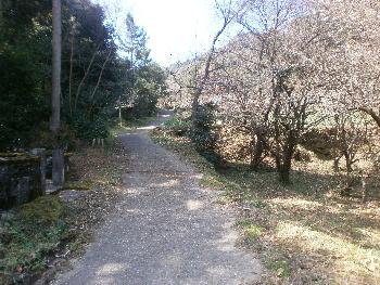 次郎丸岳登山登り口