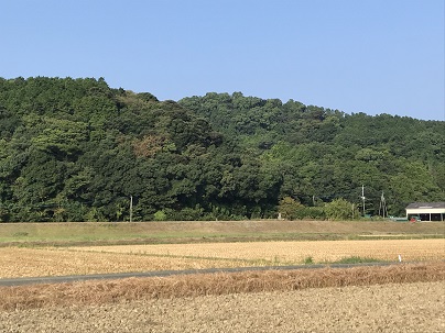 作業した後の河川１