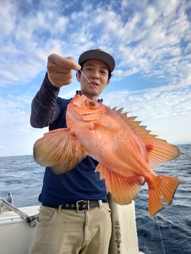 アジの泳がせ　根魚釣り
