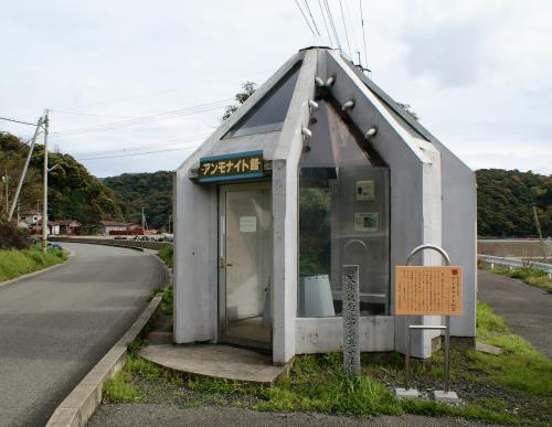 アンモナイト館